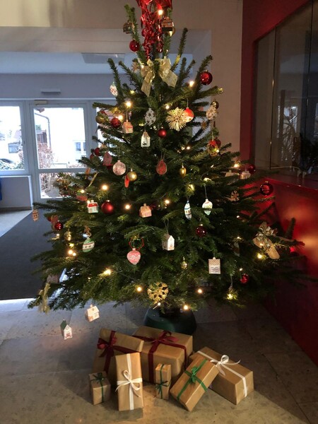 christbaum sms hof